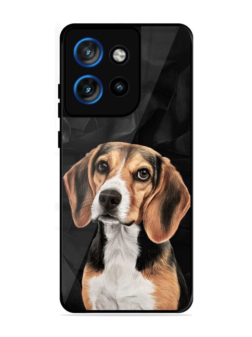 Beagle Portrait Glossy Metal Phone Cover for Motorola Moto Edge 50 Neo (5G)