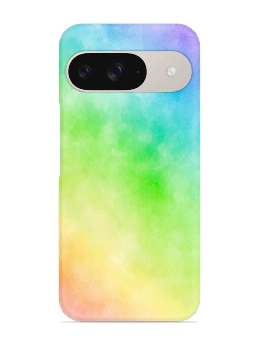 Watercolor Mixture Snap Case for Google Pixel 9