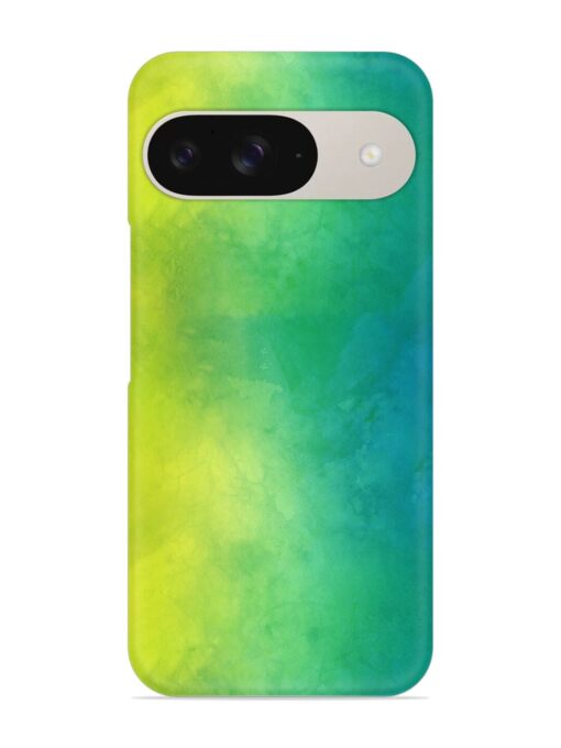 Yellow Green Gradient Snap Case for Google Pixel 9