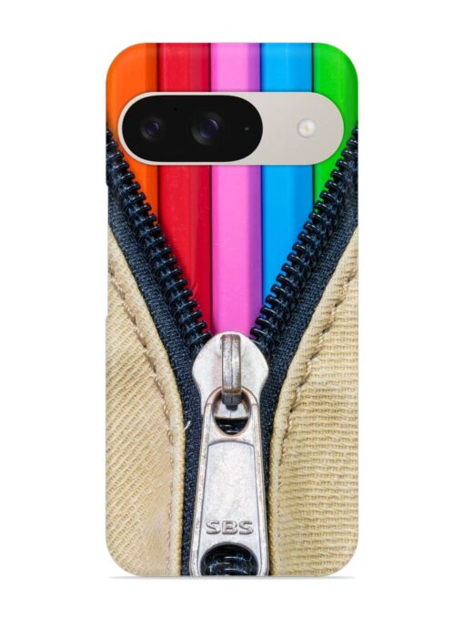 Zip In Color Snap Case for Google Pixel 9