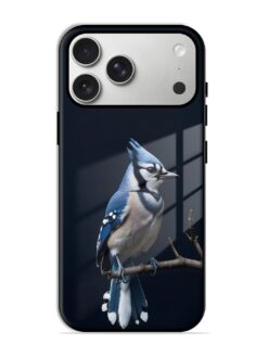 Blue Jay Premium Glass Case for Apple Iphone 17 Pro Max